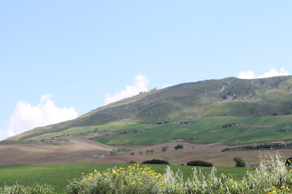 Monte Scarpello 067